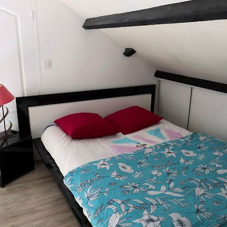 Saint-Florent-sur-Cher La Faisanderie מראה חיצוני תמונה