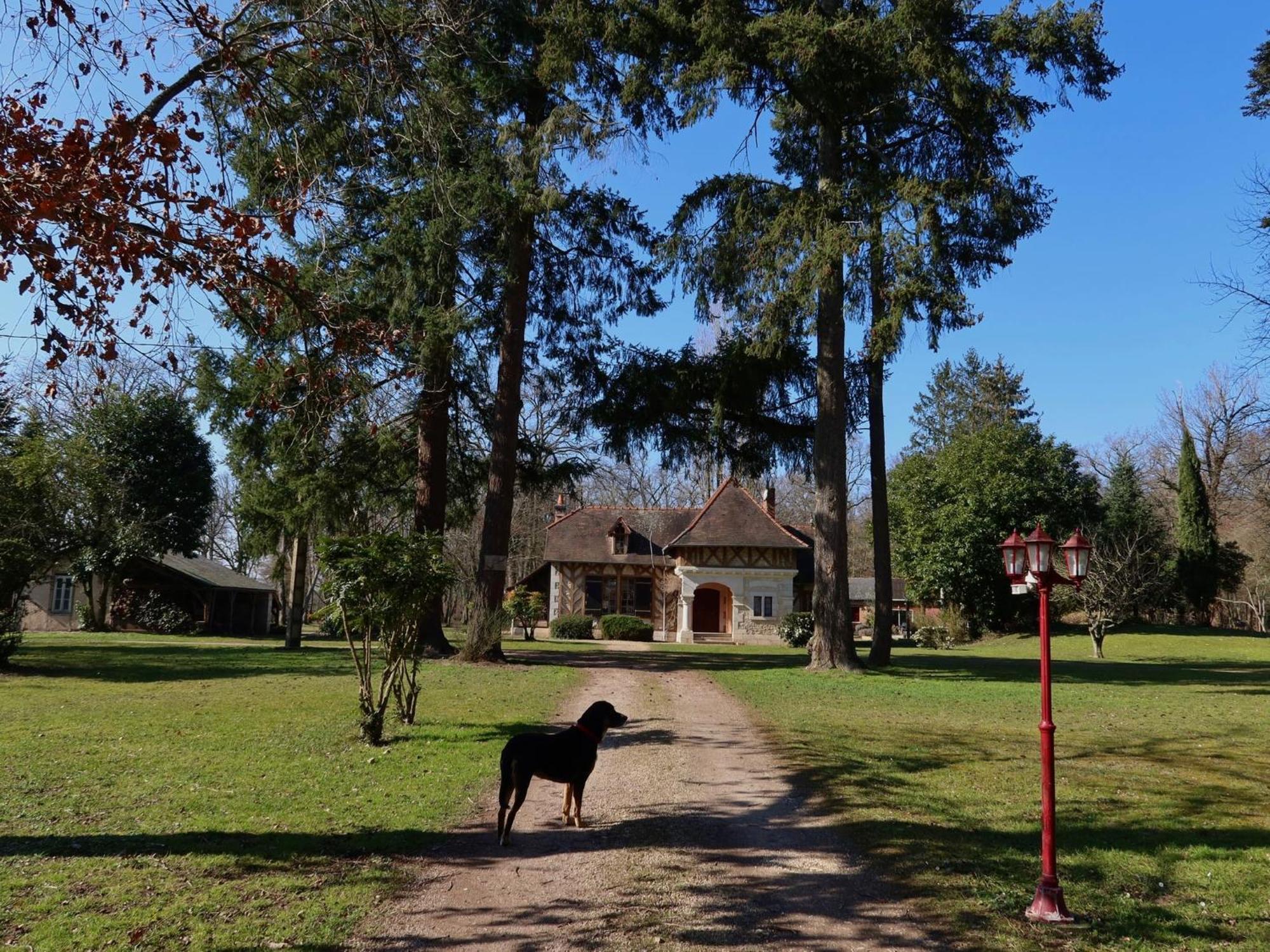Saint-Florent-sur-Cher La Faisanderie מראה חיצוני תמונה