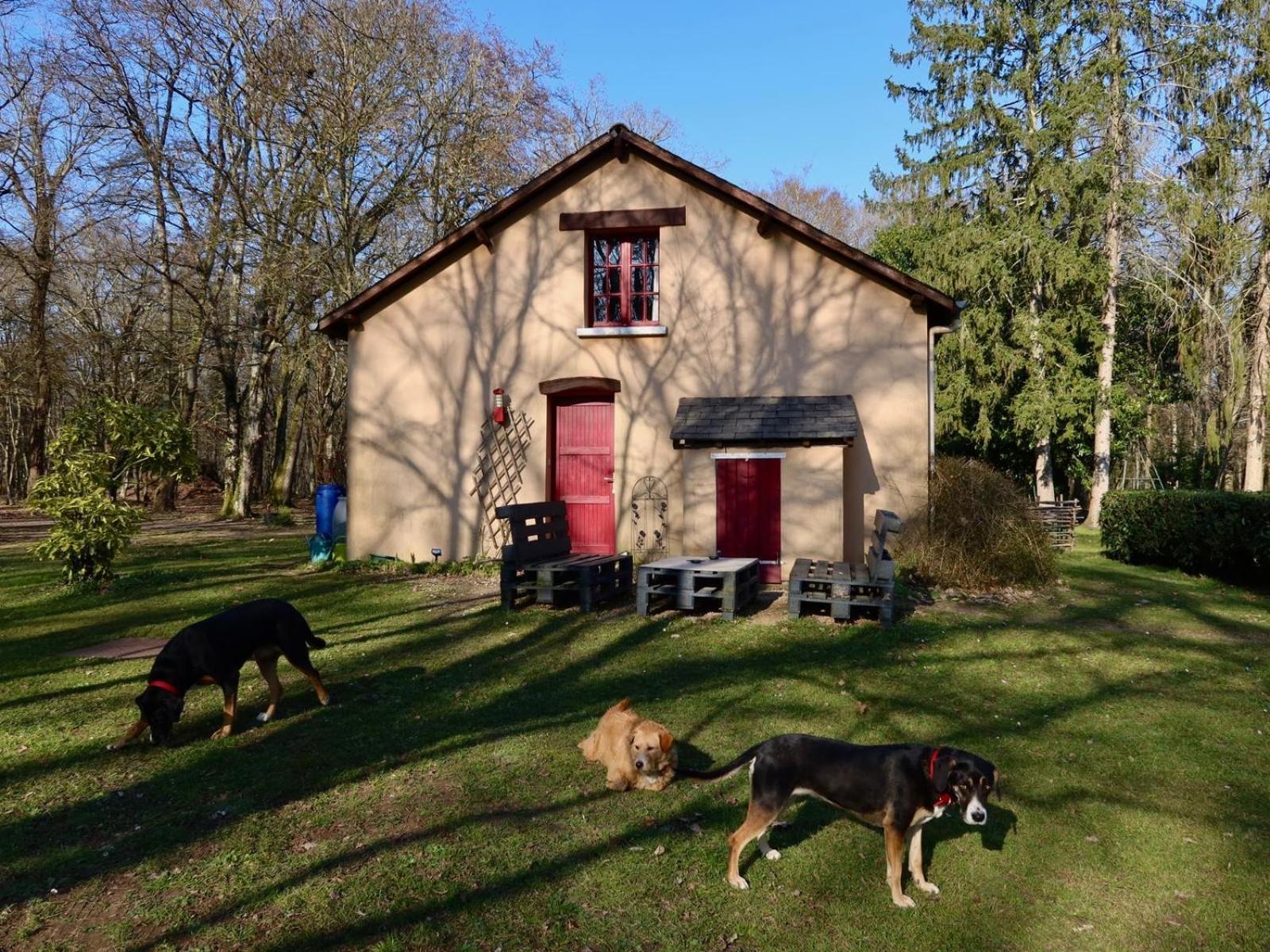 Saint-Florent-sur-Cher La Faisanderie מראה חיצוני תמונה