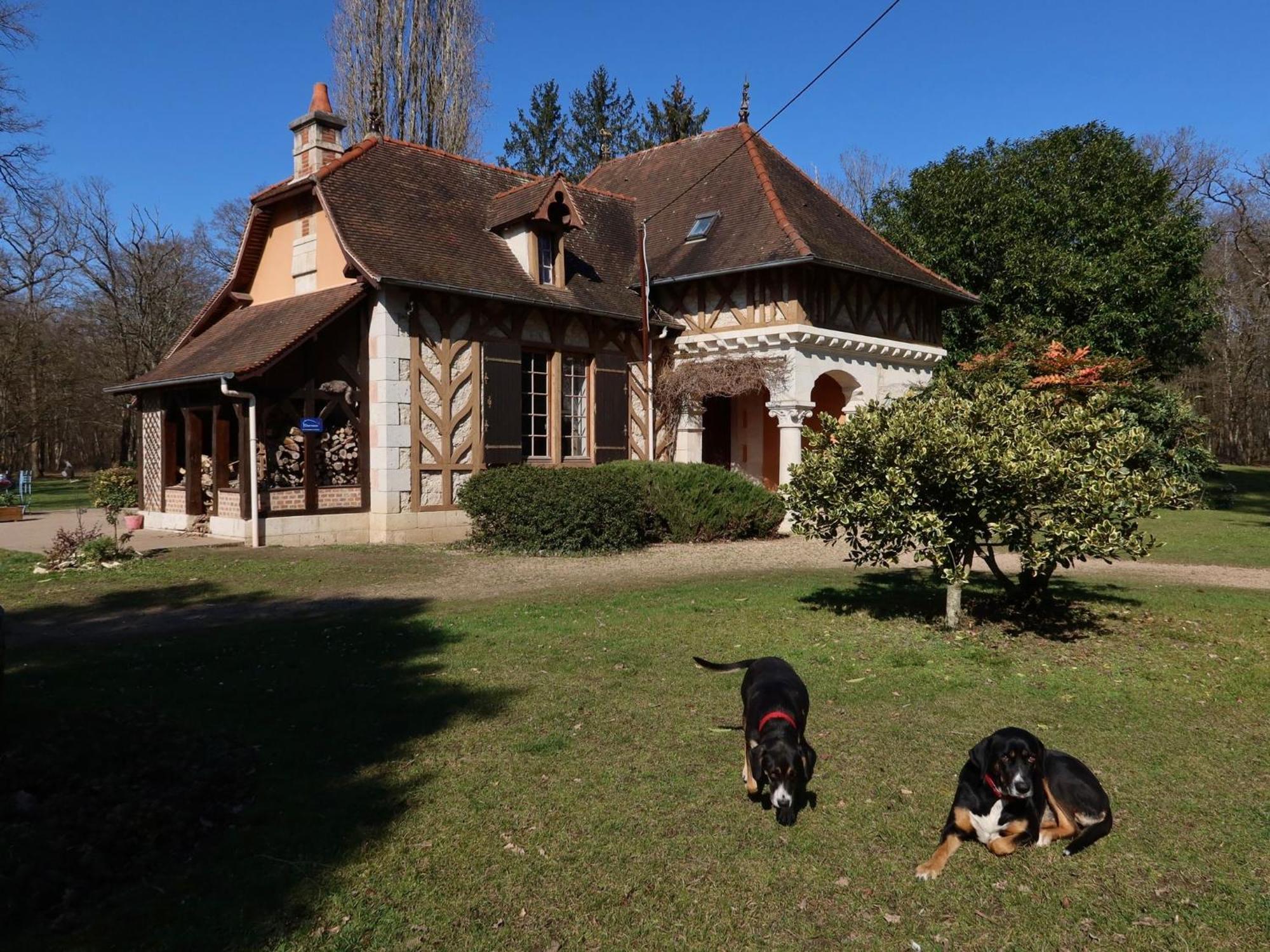 Saint-Florent-sur-Cher La Faisanderie מראה חיצוני תמונה