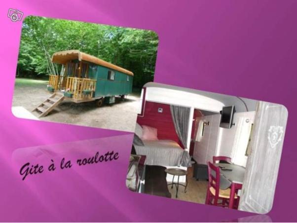 Saint-Florent-sur-Cher La Faisanderie מראה חיצוני תמונה